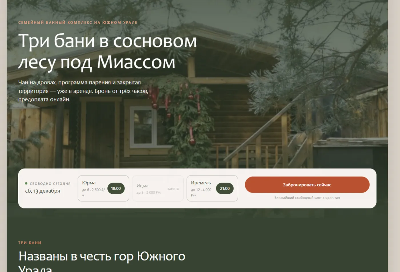 Первый экран сайта банного комплекса «Лёд» с виджетом занятости